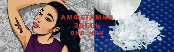 spice Богородицк