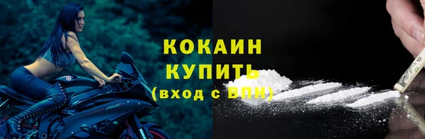 spice Богородицк