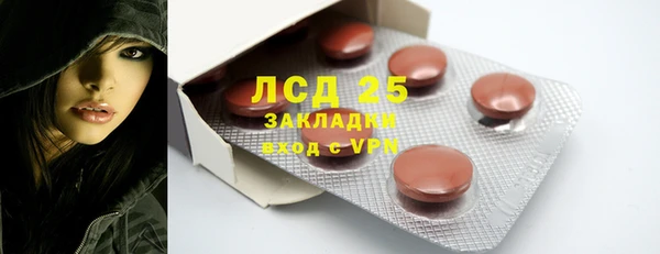 spice Богородицк