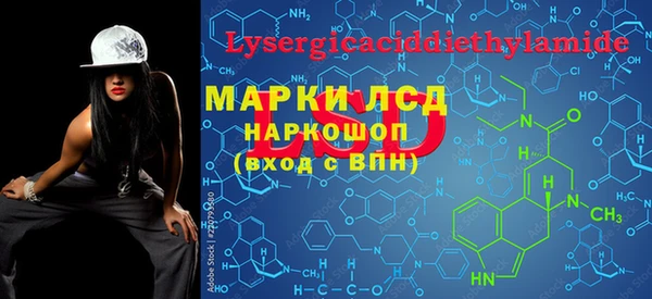 spice Богородицк