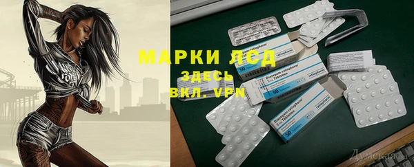 spice Богородицк