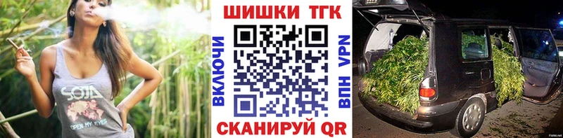 Марихуана план  Сургут 